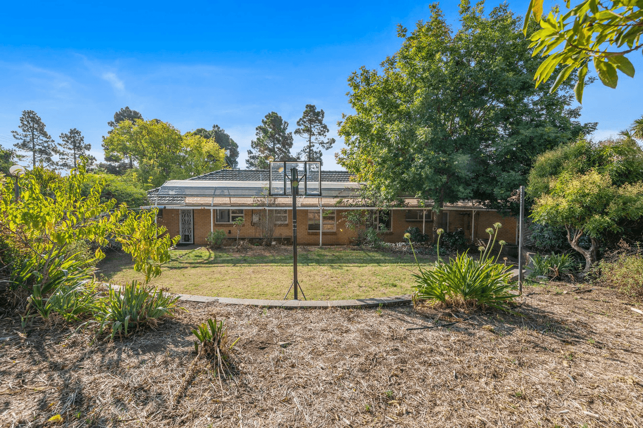 35 Gramp Avenue, Angaston, SA 5353