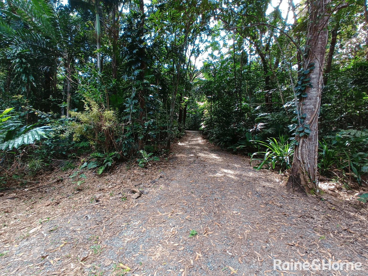 132 George Road, FOREST CREEK, DAINTREE, QLD 4873