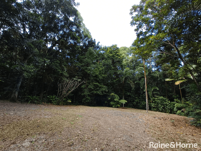 132 George Road, FOREST CREEK, DAINTREE, QLD 4873