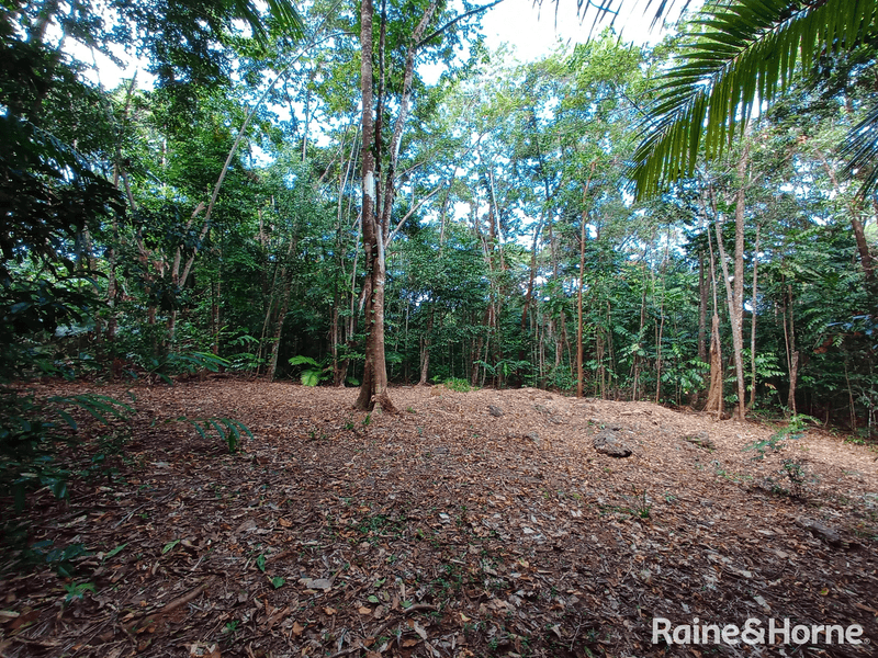 132 George Road, FOREST CREEK, DAINTREE, QLD 4873