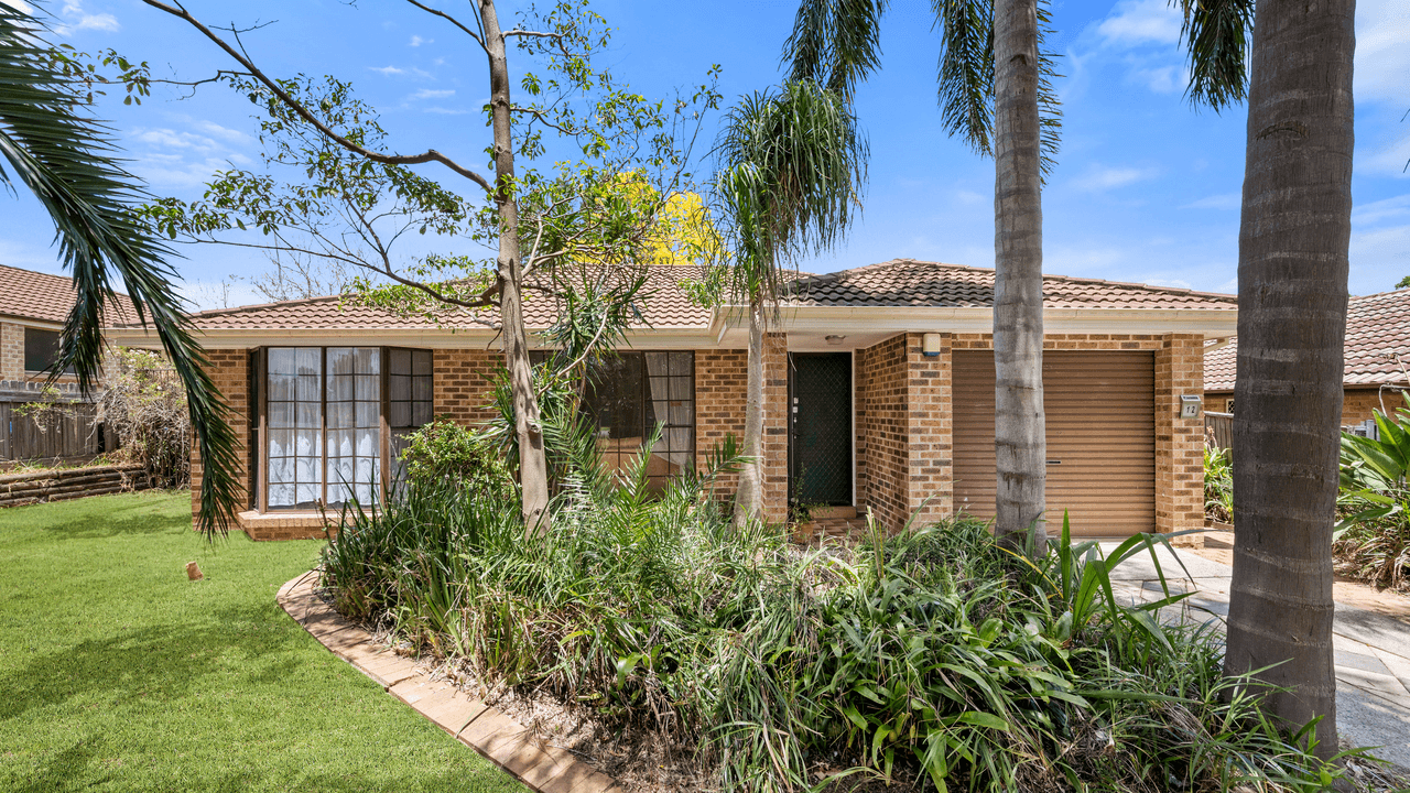 12  Astelia Street, MACQUARIE FIELDS, NSW 2564