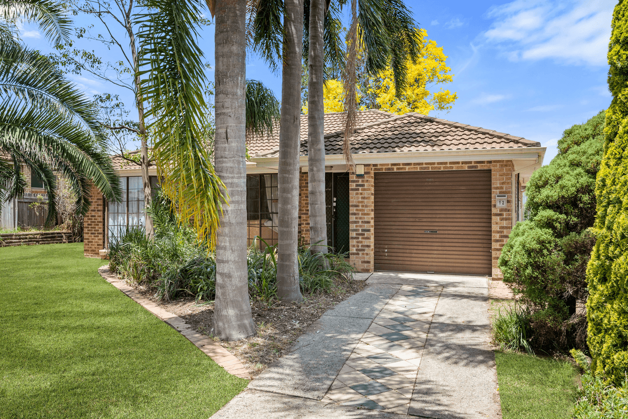 12  Astelia Street, MACQUARIE FIELDS, NSW 2564