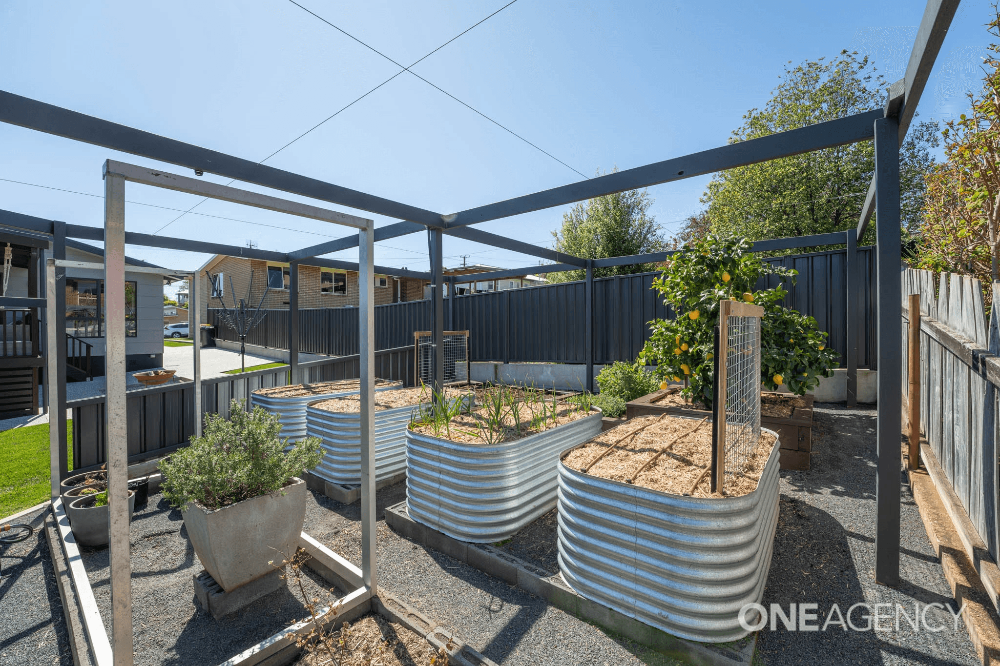 39 Richardson Crescent, Park Grove, TAS 7320