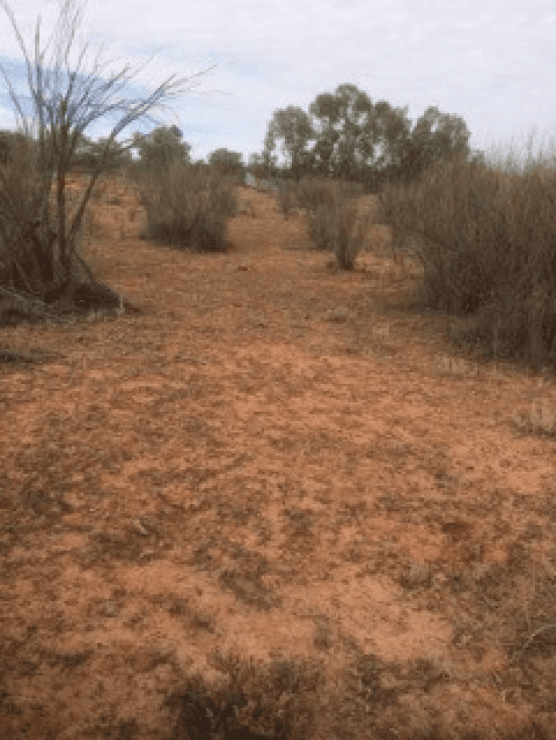 Lot 4 Dowling Track, Fords Bridge, NSW 2840