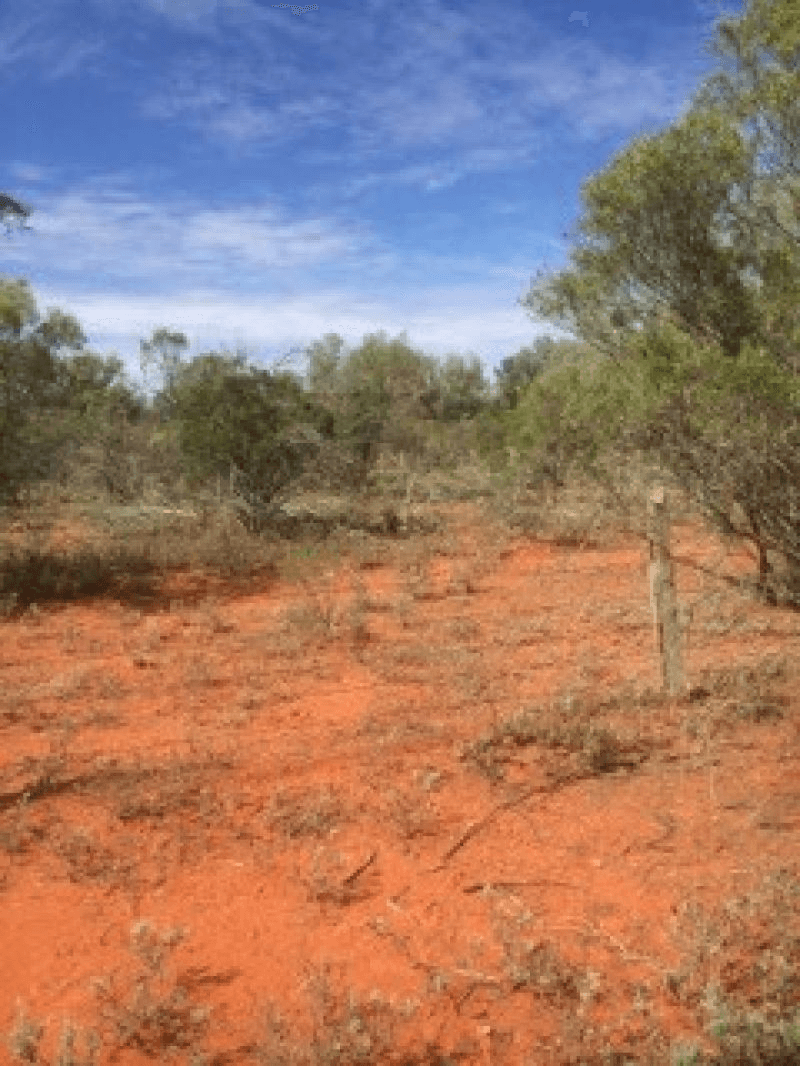 Lot 4 Dowling Track, Fords Bridge, NSW 2840