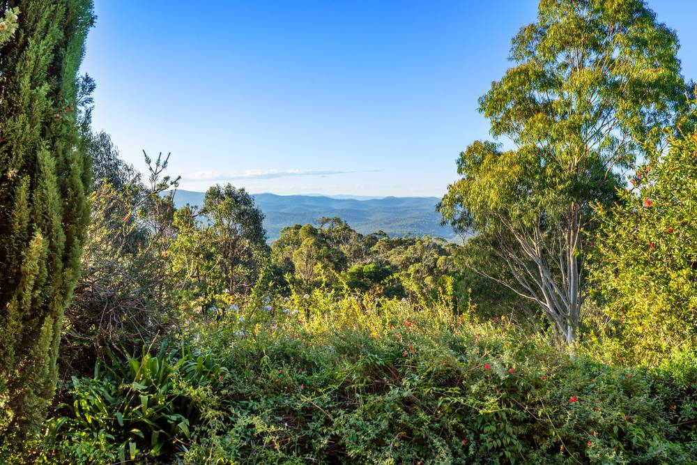 663 Tower Road, Mount Taylor, VIC 3875