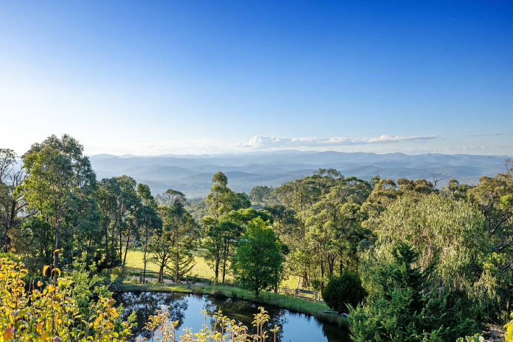663 Tower Road, Mount Taylor, VIC 3875