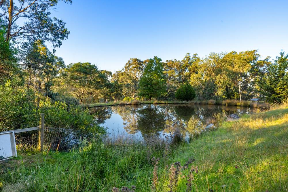 663 Tower Road, Mount Taylor, VIC 3875