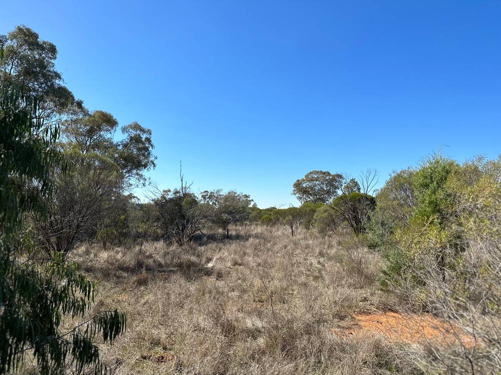 22 Balowra Road, NYMAGEE, NSW 2831
