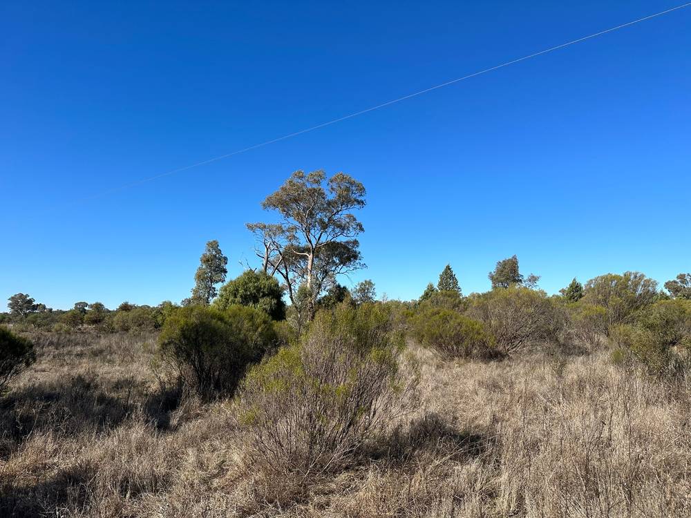 22 Balowra Road, NYMAGEE, NSW 2831
