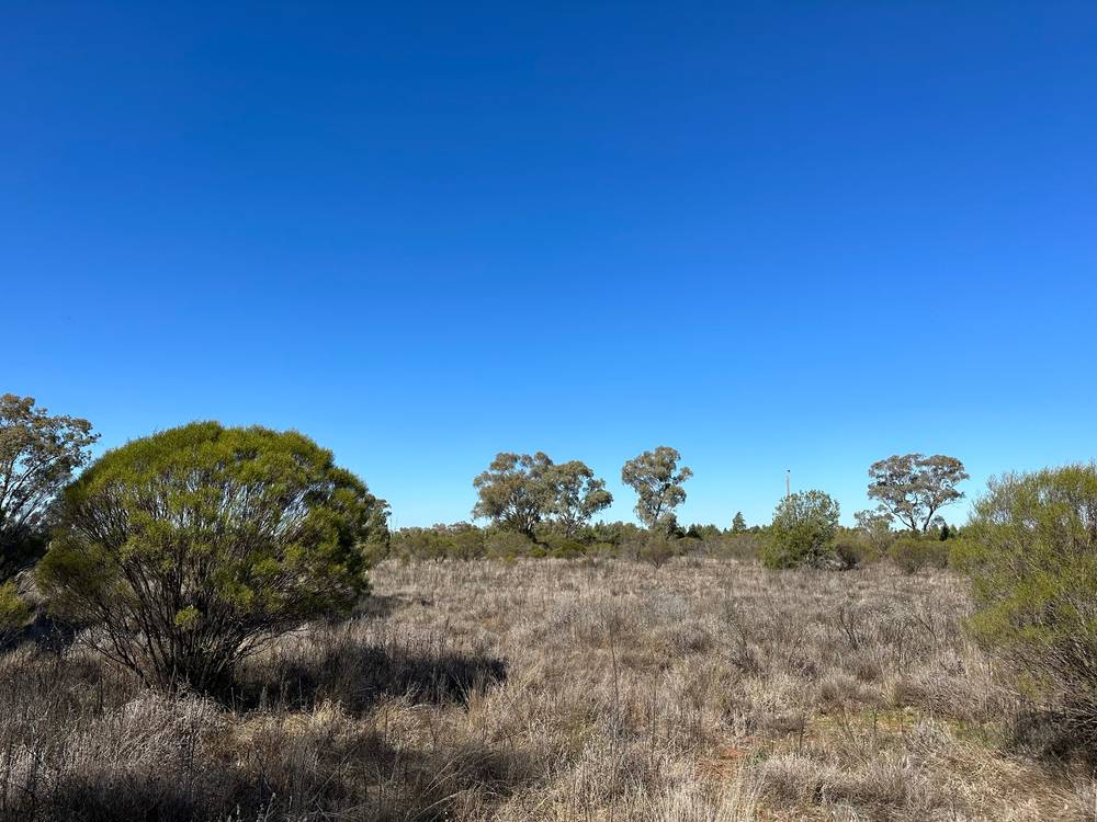 22 Balowra Road, NYMAGEE, NSW 2831