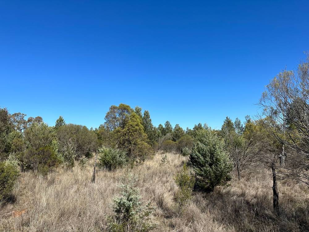 22 Balowra Road, NYMAGEE, NSW 2831