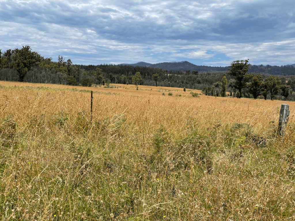 Lots 1 & 12 Dray Road, YOWRIE, NSW 2550