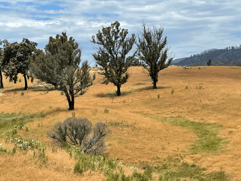 Lots 1 & 12 Dray Road, YOWRIE, NSW 2550