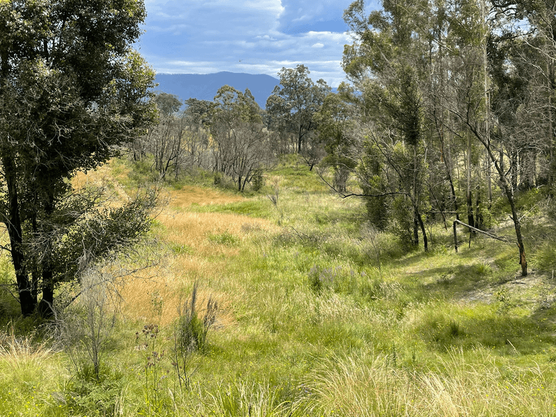 Lots 1 & 12 Dray Road, YOWRIE, NSW 2550