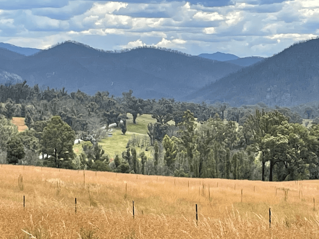 Lots 1 & 12 Dray Road, YOWRIE, NSW 2550