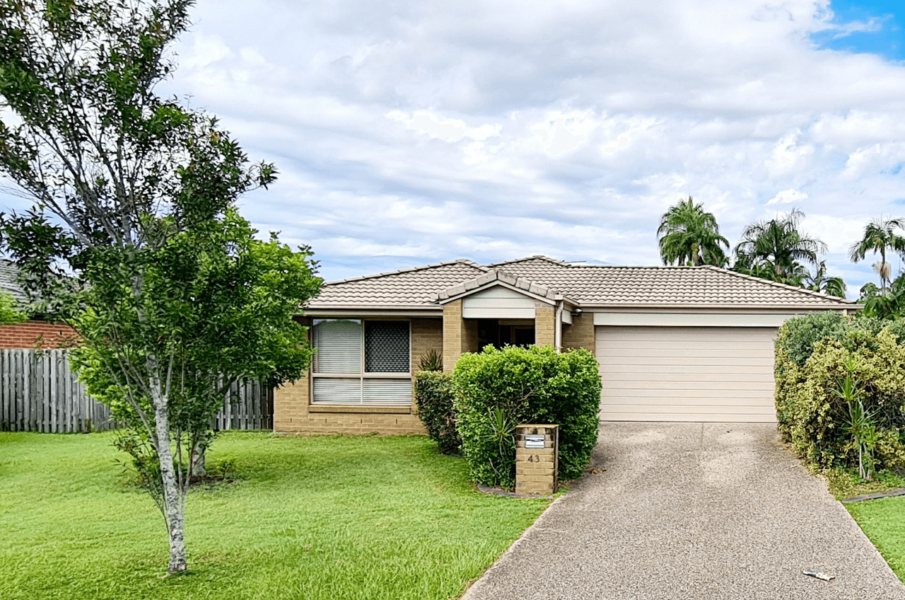 43 Clementine Street, BELLMERE, QLD 4510