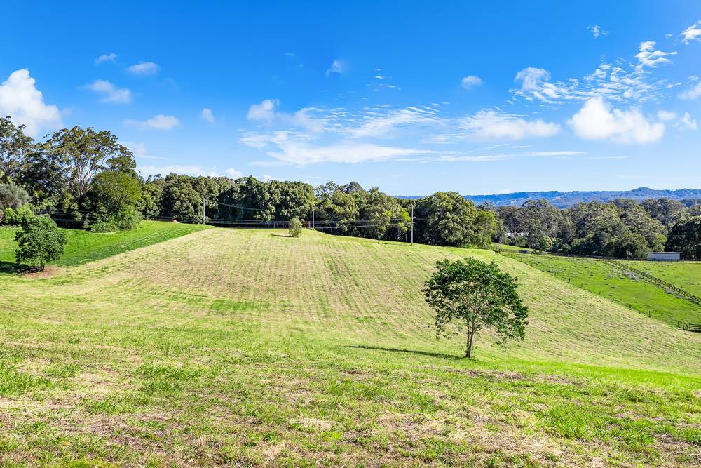238 Diddillibah Road, WOOMBYE, QLD 4559