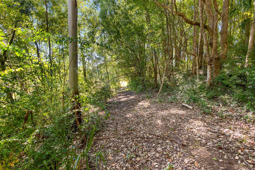 238 Diddillibah Road, WOOMBYE, QLD 4559