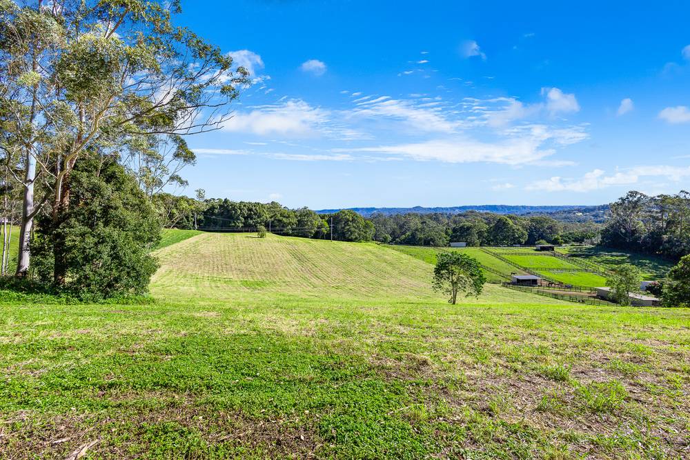 238 Diddillibah Road, WOOMBYE, QLD 4559