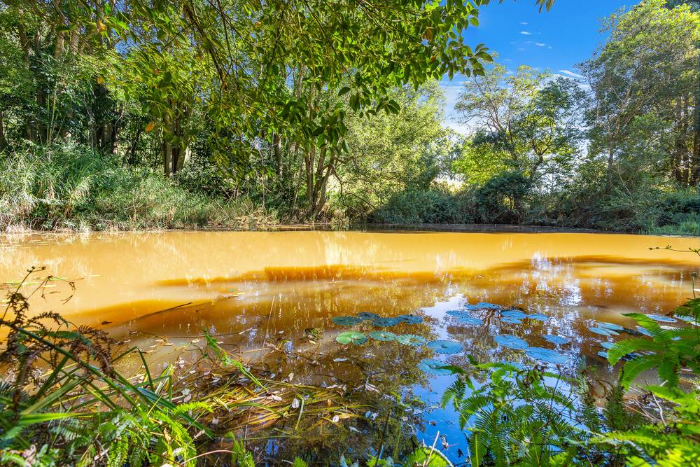 238 Diddillibah Road, WOOMBYE, QLD 4559