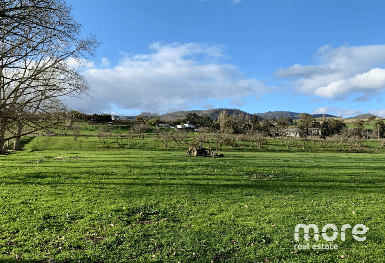 2203 Lyell Highway, HAYES, TAS 7140