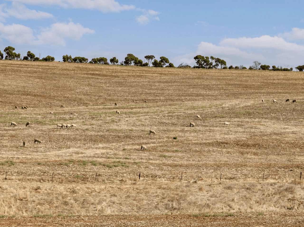 'Coulters' Sandow Road, HAMLEY BRIDGE, SA 5401