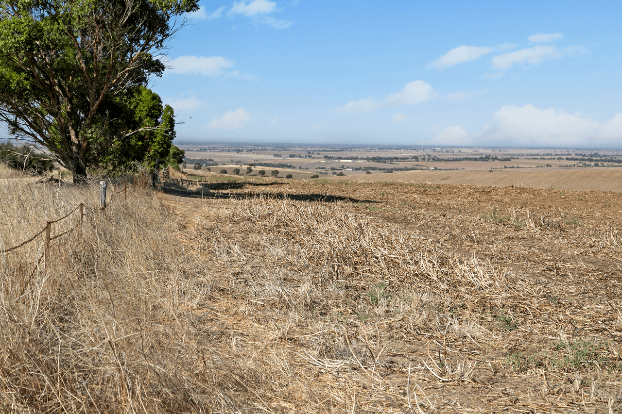 'Coulters' Sandow Road, HAMLEY BRIDGE, SA 5401