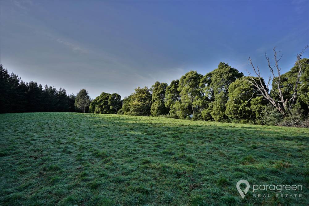 1551 Turtons Creek Road, WOORARRA WEST, VIC 3960