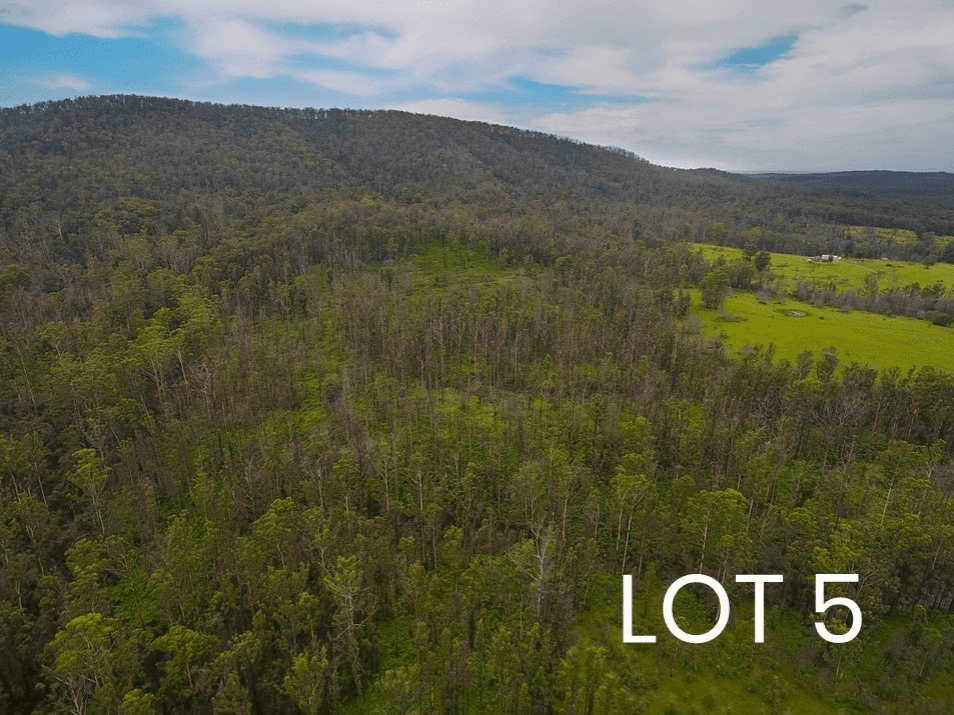 Lot 4 & 5/150 Coates Road, POSSUM BRUSH, NSW 2430