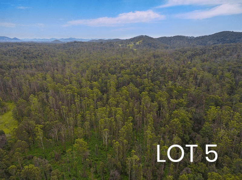 Lot 4 & 5/150 Coates Road, POSSUM BRUSH, NSW 2430