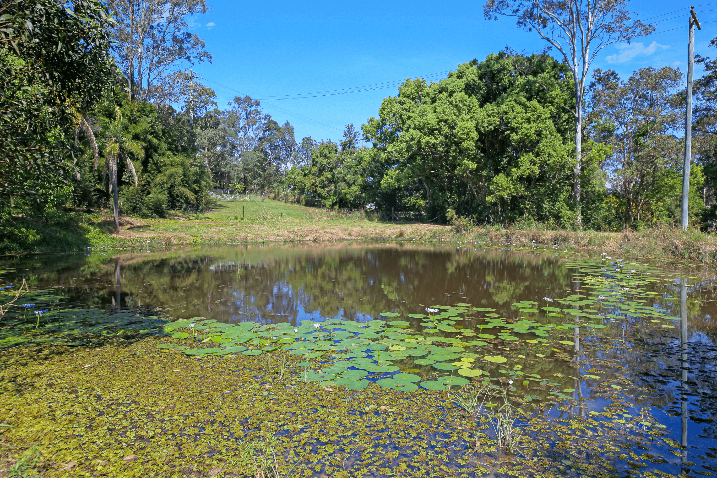 910 Kenilworth Skyring Creek Road, CARTERS RIDGE, QLD 4563