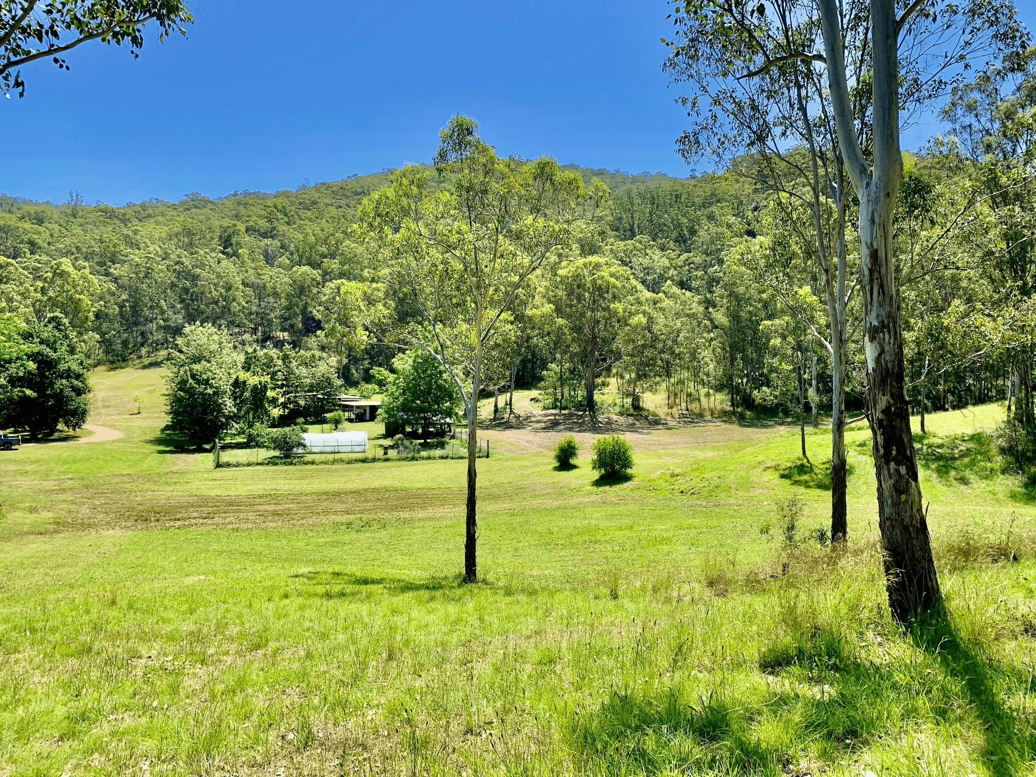 2410 Wollombi Rd, Wollombi, NSW 2325