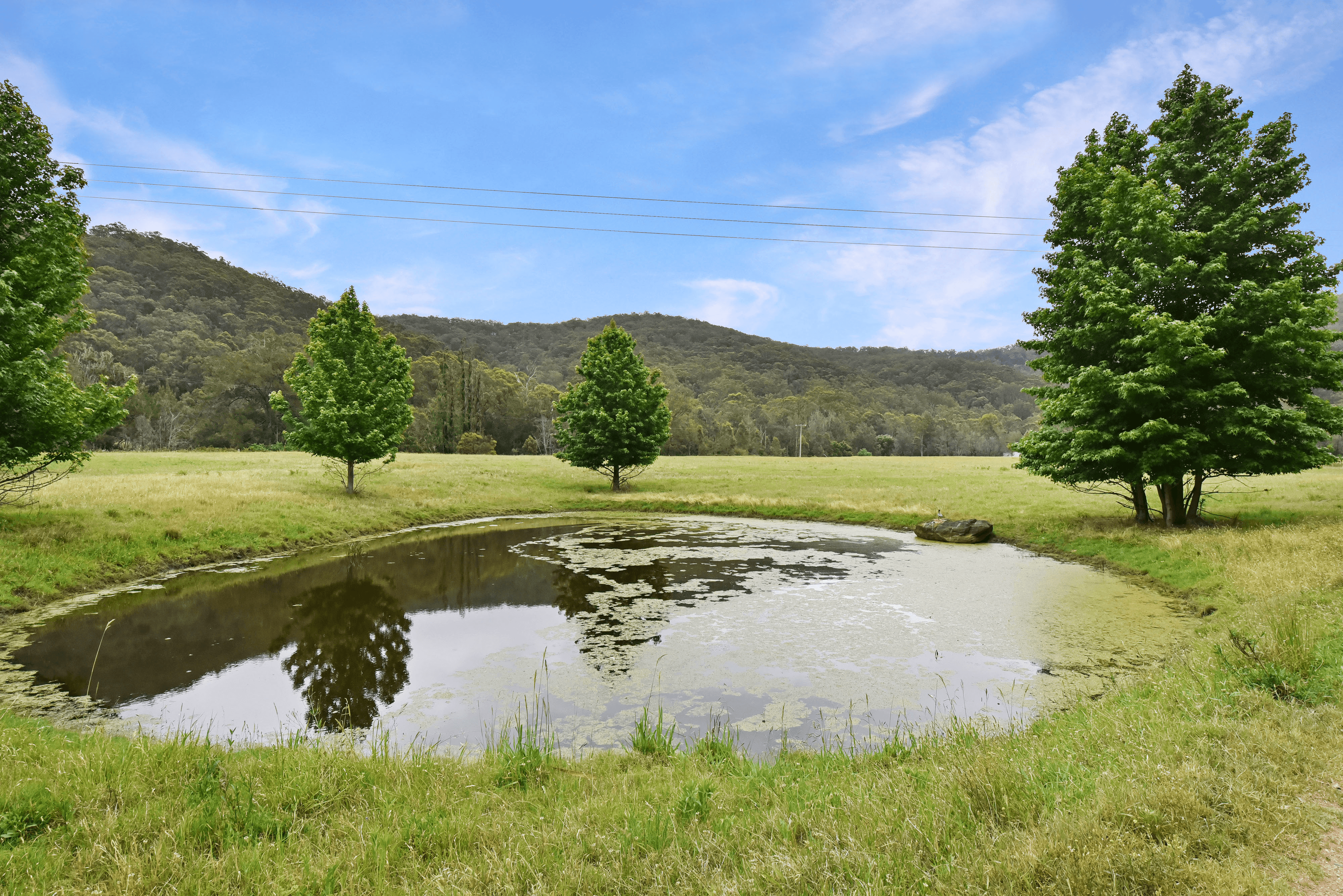 2410 Wollombi Rd, Wollombi, NSW 2325