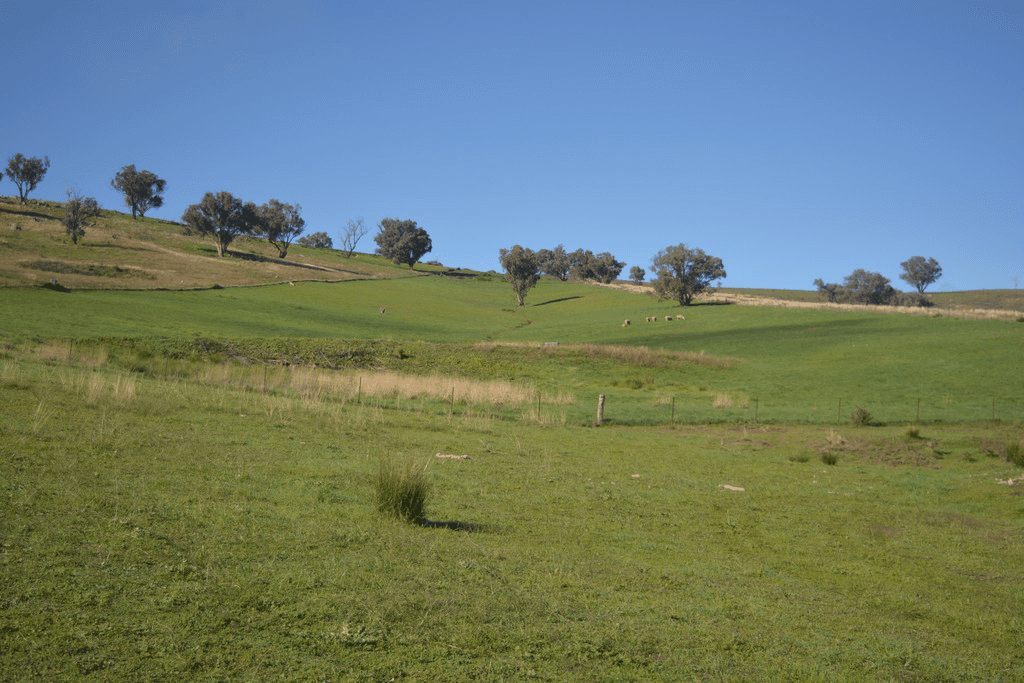 Blackmans Creek Road, Bigga Via Crookwell, CROOKWELL, NSW 2583