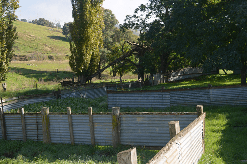 Blackmans Creek Road, Bigga Via Crookwell, CROOKWELL, NSW 2583