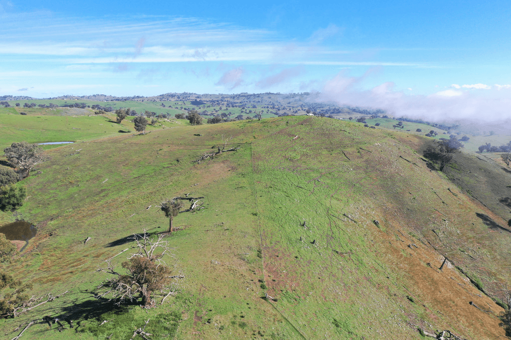 Blackmans Creek Road, Bigga Via Crookwell, CROOKWELL, NSW 2583