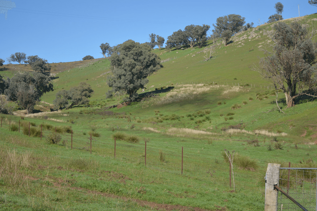 Blackmans Creek Road, Bigga Via Crookwell, CROOKWELL, NSW 2583