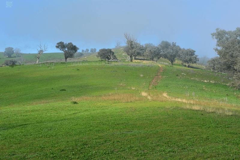 Blackmans Creek Road, Bigga Via Crookwell, CROOKWELL, NSW 2583