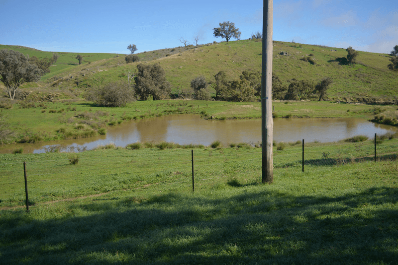 Blackmans Creek Road, Bigga Via Crookwell, CROOKWELL, NSW 2583