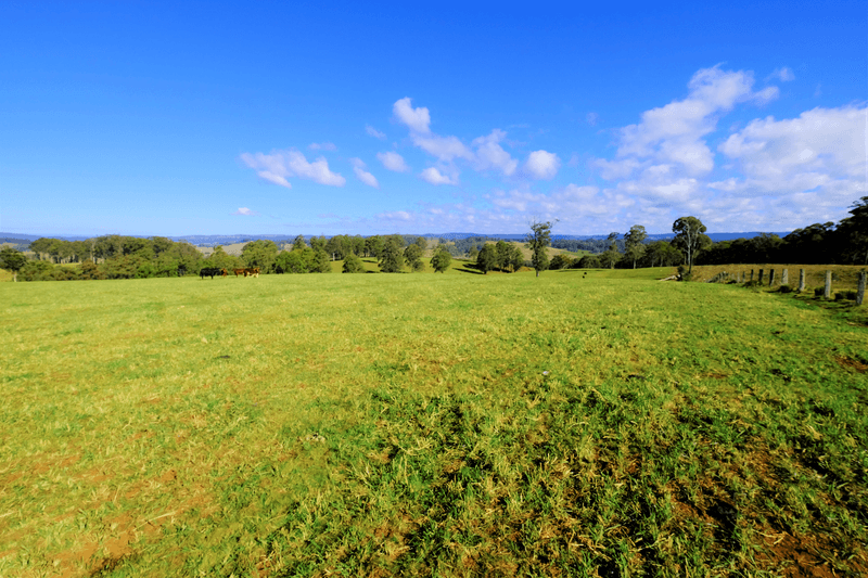 1275 The Tops Road, Nowendoc, NSW 2354