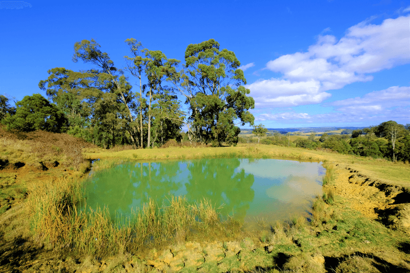 1275 The Tops Road, Nowendoc, NSW 2354