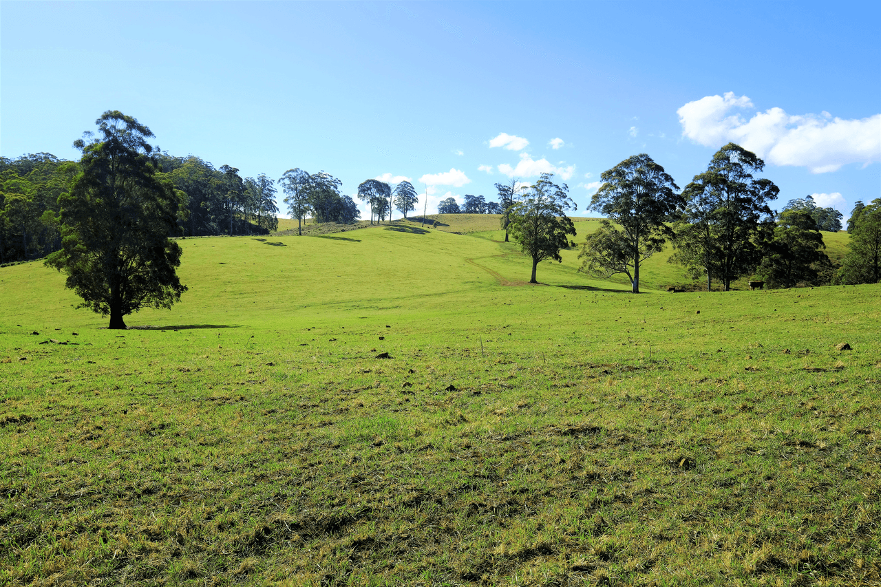 1275 The Tops Road, Nowendoc, NSW 2354