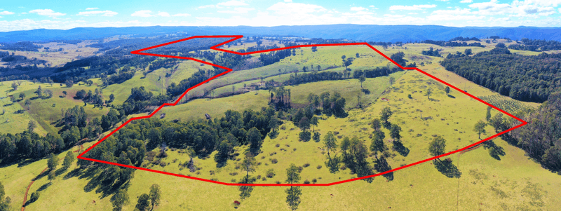 1275 The Tops Road, Nowendoc, NSW 2354