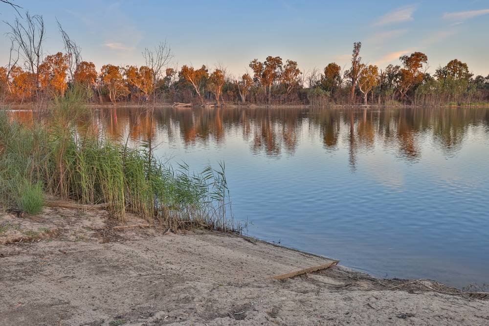 205 Paringi Road, Paringi, NSW 2738