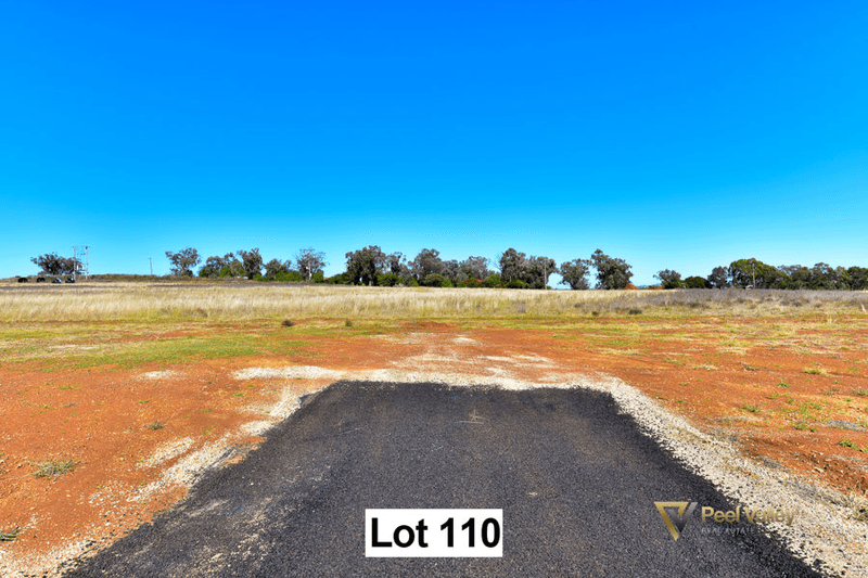 Lot 110 Premiers Street, Nemingha, TAMWORTH, NSW 2340