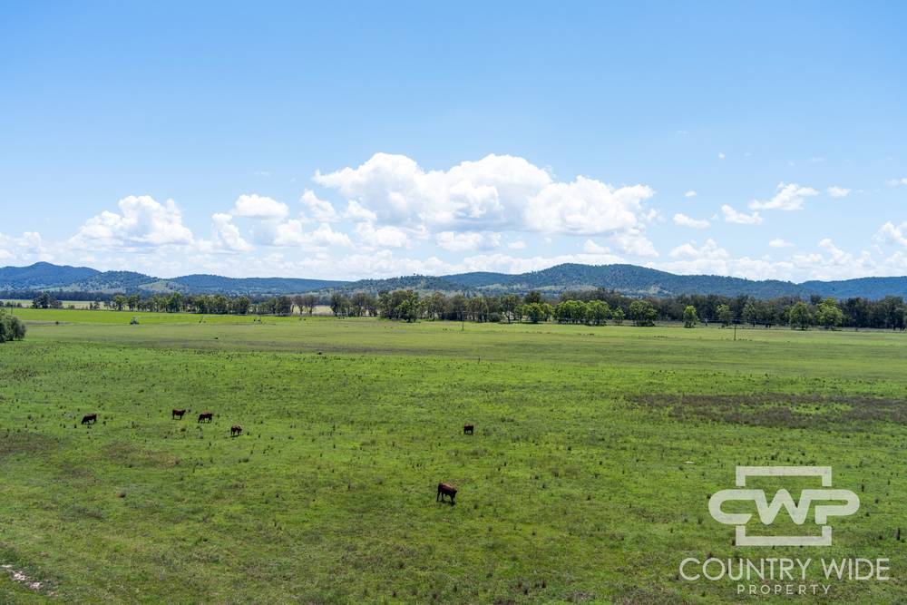 9699 Bruxner Highway, BONSHAW, NSW 2361