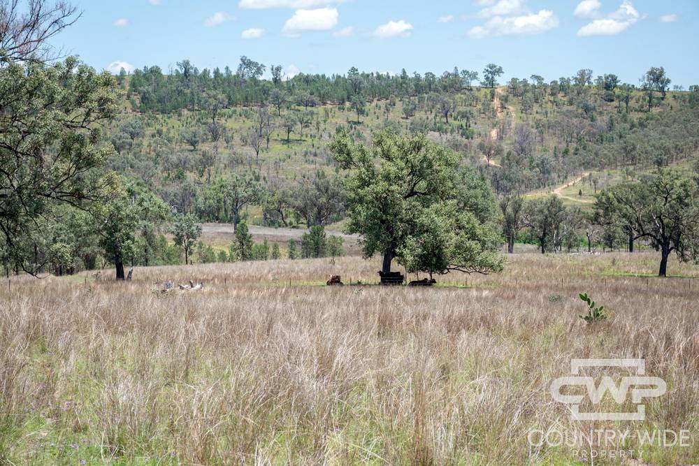 9699 Bruxner Highway, BONSHAW, NSW 2361