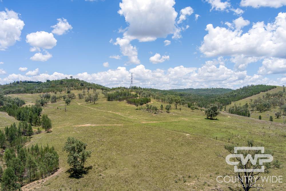 9699 Bruxner Highway, BONSHAW, NSW 2361