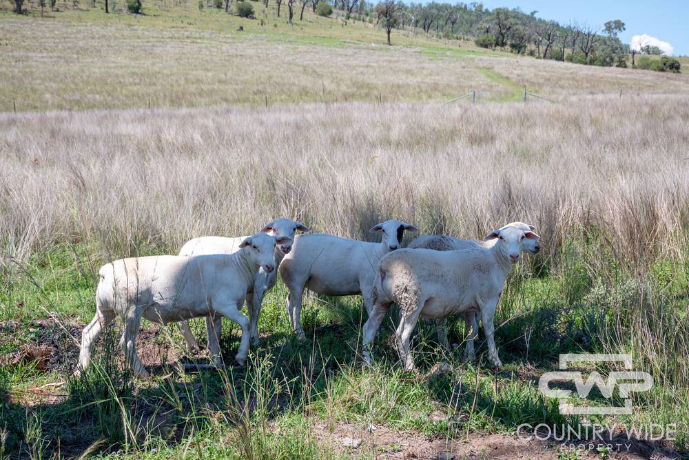 9699 Bruxner Highway, BONSHAW, NSW 2361